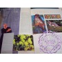 Australia 1996 Deluxe Yearbook Album with all Stamps FV$45.45